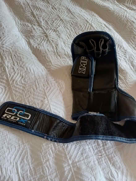 Photo of free Boxing gloves (Felden HP3) #1