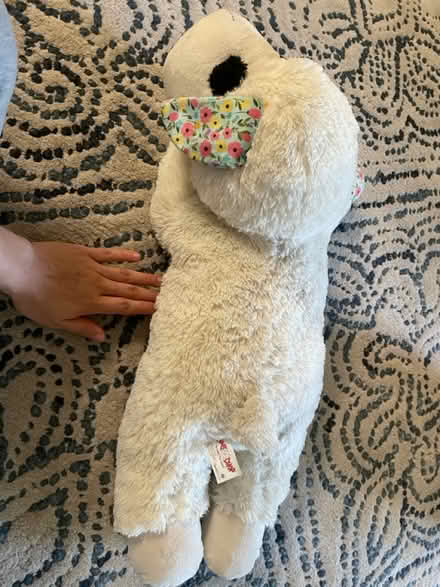 Photo of free big lamp chop toy for dogs (san jose west) #2