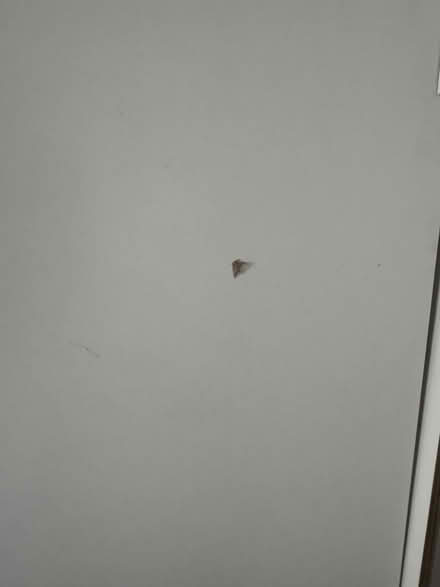 Photo of free IKEA Trysil wardrobe (Brent NW2) #2