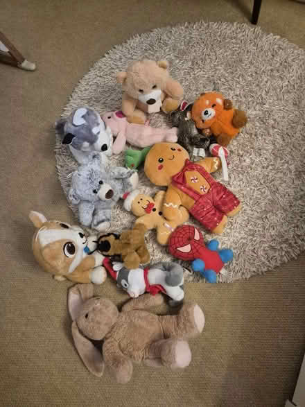 Photo of free Soft toys (W1h 1ju) #1