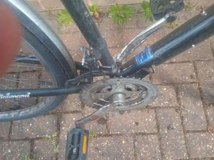 Photo of free Bicycle Adult (Kennington OX1) #1