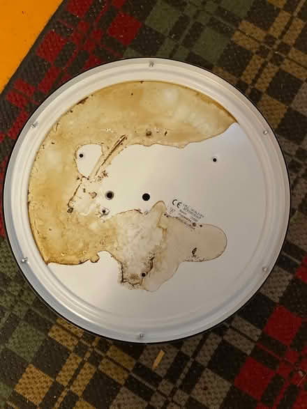 Photo of free Ceiling light shade (Crystal Palace SE19) #2
