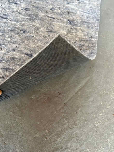 Photo of free 5’x7’ rug pad (Downtown Mountain View) #2