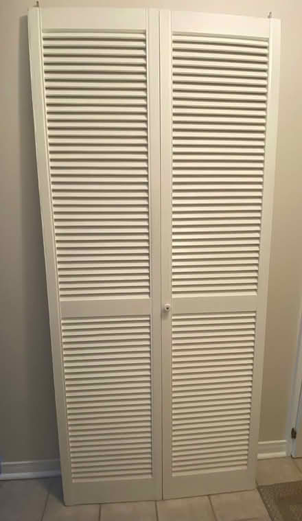 Photo of free Closet door (Hunt Club) #1