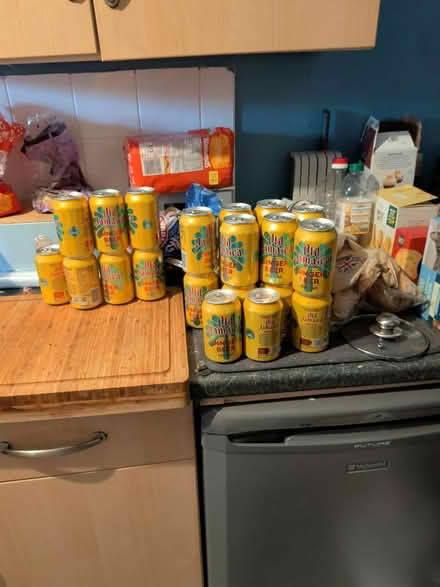 Photo of free Cans of ginger beer x 23 (BR1 bickley) #1