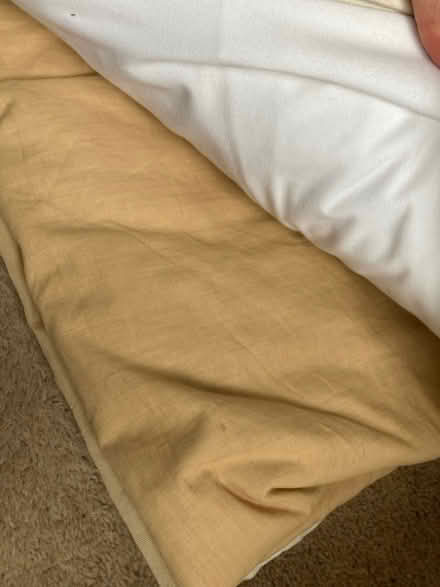 Photo of free Old curtains and sheets (Westbury on Trym BS9) #4