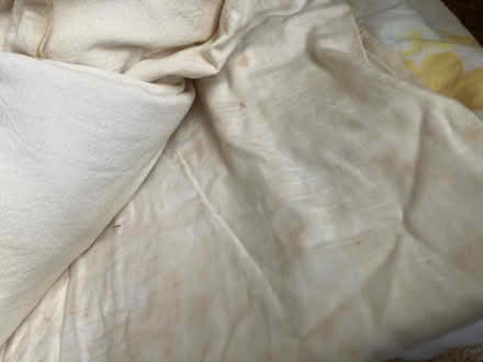 Photo of free Old curtains and sheets (Westbury on Trym BS9) #3