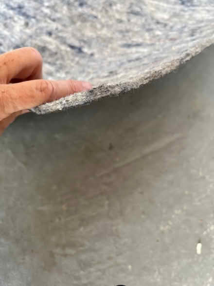 Photo of free 5’x7’ rug pad (Downtown Mountain View) #3