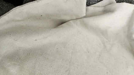 Photo of free 4 schnauzer cushion covers (Sutton HU8) #3