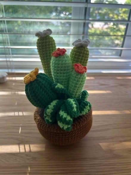 Photo of free Knit cactus plant (Los Gatos Blvd x Lark) #1