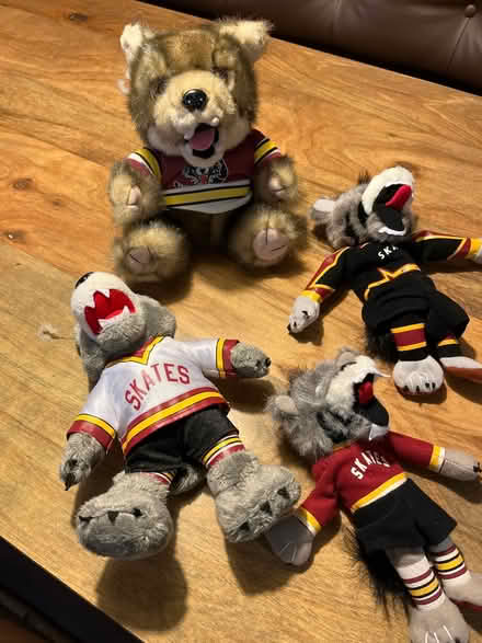 Photo of free “Skates” stuffed animals (Niles) #1