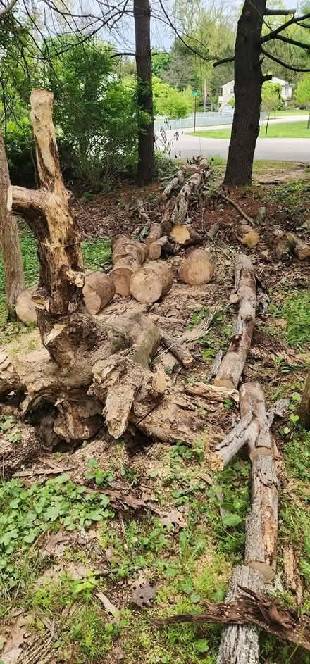 Photo of free Firewood (Fishkill) #1