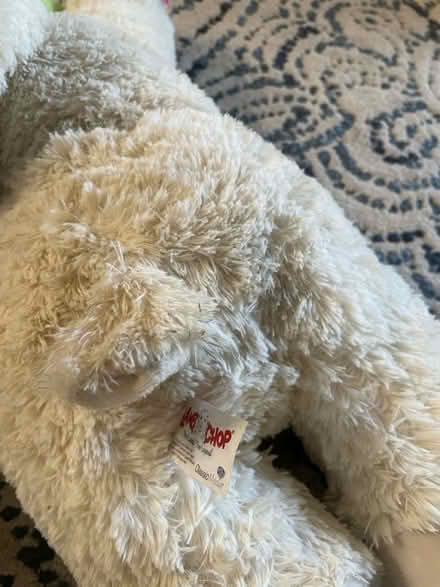 Photo of free big lamp chop toy for dogs (san jose west) #3