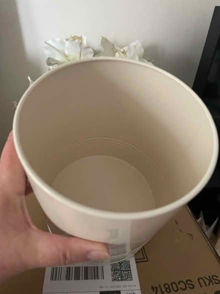 Photo of free Pet treat storage (Bisley, GU24) #3