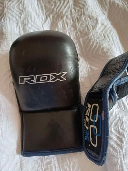 Photo of free Boxing gloves (Felden HP3) #2