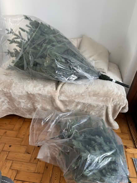 Photo of free Artificial Christmas Tree (Temple Cowley OX4) #1