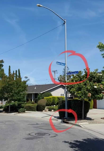 Photo of free Curb alert: Aeonium cuttings (Cupertino) #2