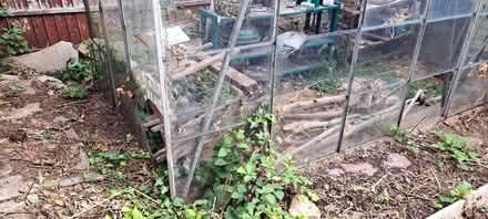 Photo of free Greenhouse aluminium (Aspley NG8) #3