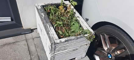 Photo of free Handmade wooden boxes for plants (Harrow HA3) #1