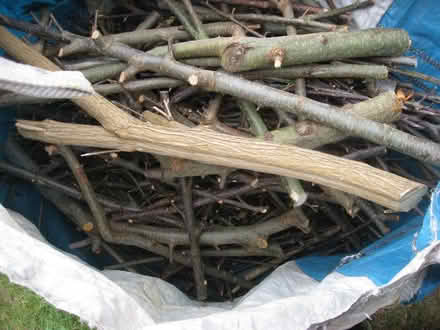 Photo of free Firewood Bulk Bag (Old Kesgrave IP5) #3