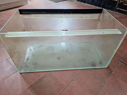 Photo of free Glass tank (Swanley BR8) #1