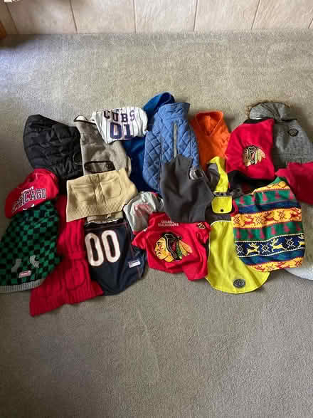 Photo of free Dog sweaters/coats (north Downers Grove) #1