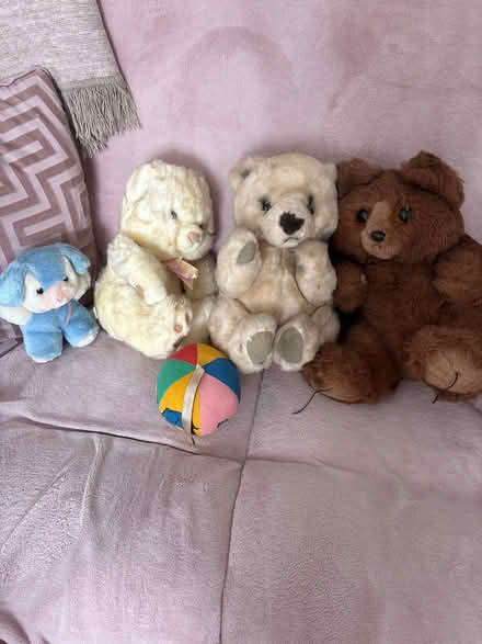 Photo of free Teddies (Temple Cowley OX4) #1