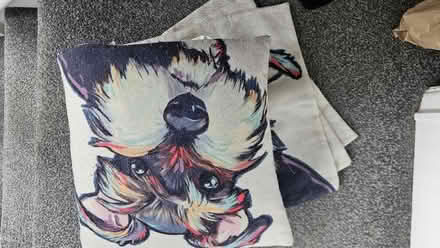 Photo of free 4 schnauzer cushion covers (Sutton HU8) #1