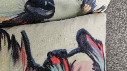 Photo of free 4 schnauzer cushion covers (Sutton HU8) #2