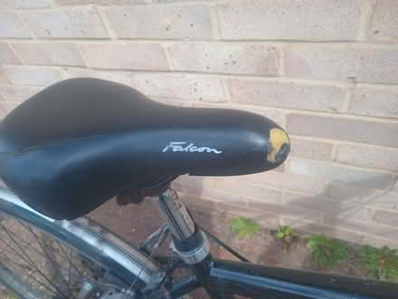 Photo of free Bicycle Adult (Kennington OX1) #3