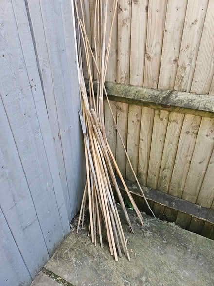 Photo of free Bamboo sticks (Winchester SO22) #1