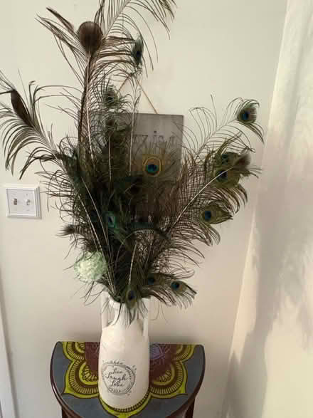 Photo of free Genuine Peacock Feathers & Vase (Bowie) #2