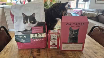 Photo of free cat litter, wet and dry food (Whitechapel E1) #1