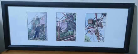 Photo of free Photo frames (Corstophine EH12) #3