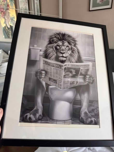 Photo of free Lion toilet picture (Seaforth) #2