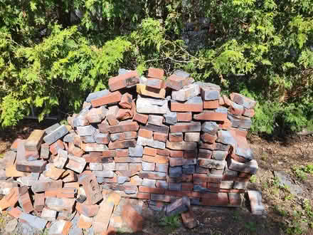Photo of free Used bricks (Westboro) #1