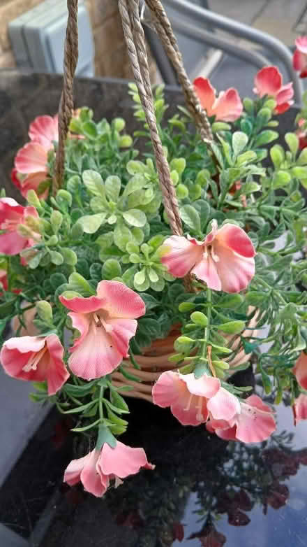 Photo of free Hanging Baskets x 2 (Bowerhill SN12) #2