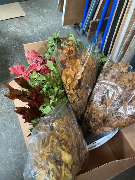 Photo of free Dried fall leaves (Oakland) #1