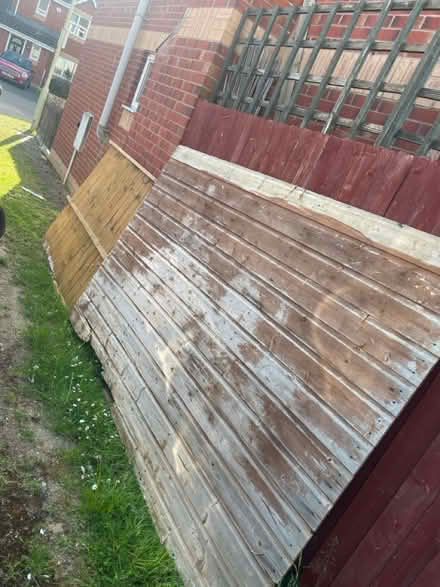 Photo of free Shed/fence panels (Abbeymead) #1