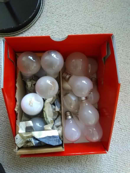 Photo of free Assorted light bulbs (Millhouses S7) #1
