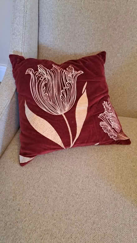 Photo of free 2 X red velvet cushions RG26 (Bramley, Hants RG26) #1