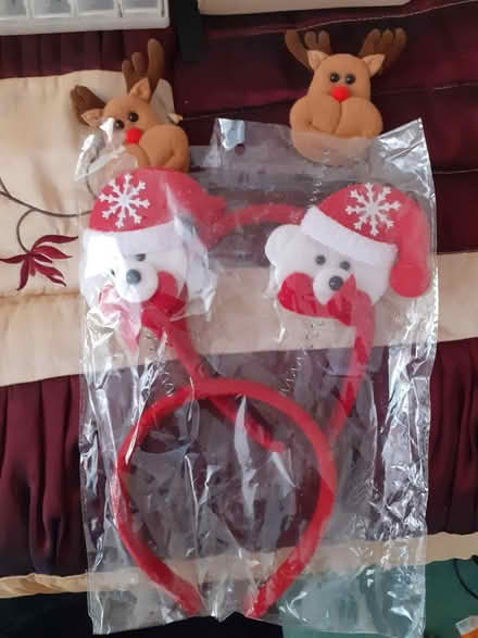 Photo of free Fun winter headbands x2 (Tonbridge TN9) #1