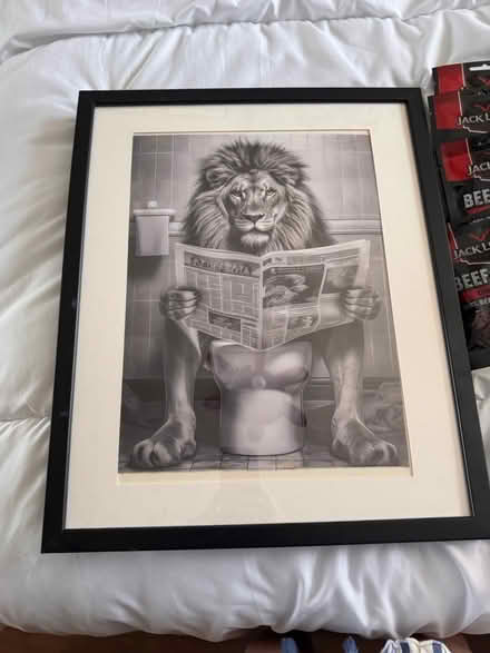 Photo of free Lion toilet picture (Seaforth) #1