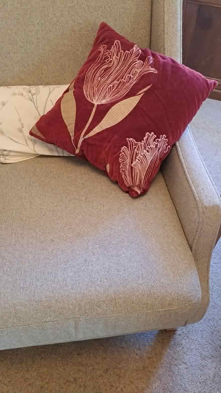 Photo of free 2 X red velvet cushions RG26 (Bramley, Hants RG26) #2