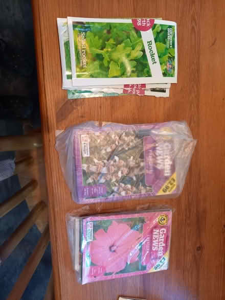 Photo of free Seeds (SE9) #1