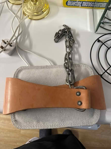 Photo of free Weightlifting belt (Greater Leys OX4) #2