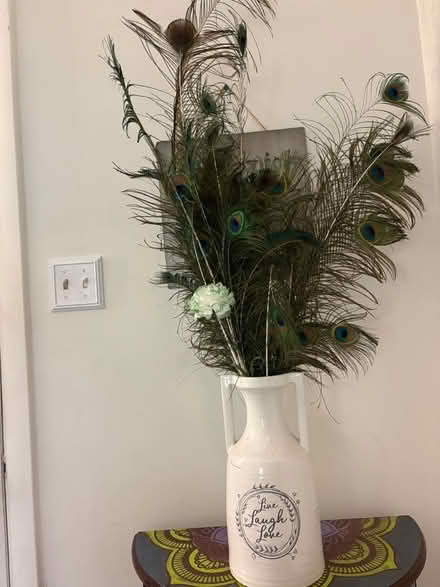 Photo of free Genuine Peacock Feathers & Vase (Bowie) #1