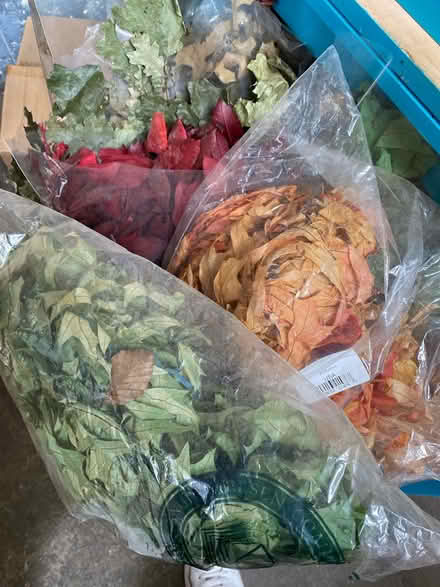Photo of free Dried fall leaves (Oakland) #2