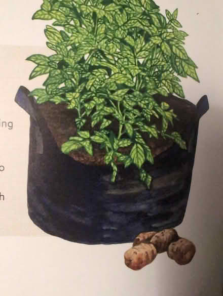 Photo of Garden grow bag (Old Barrhaven) #1