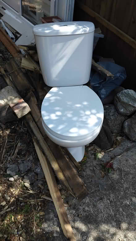Photo of free Toilet and cistern (Bournemouth/Poole BH12) #1